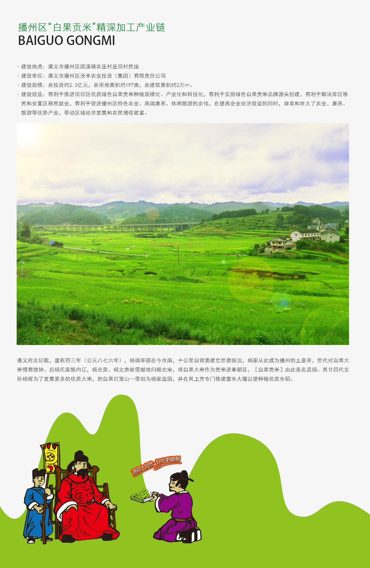 白果貢米無產品.jpg