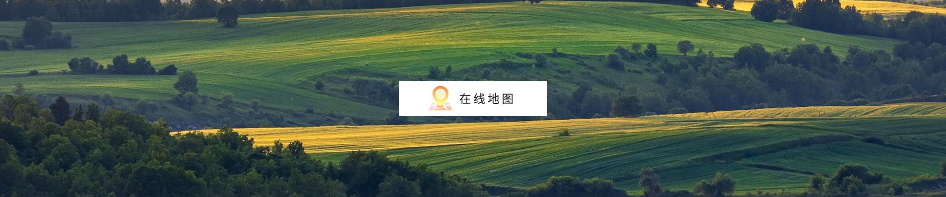 沃豐農業.jpg