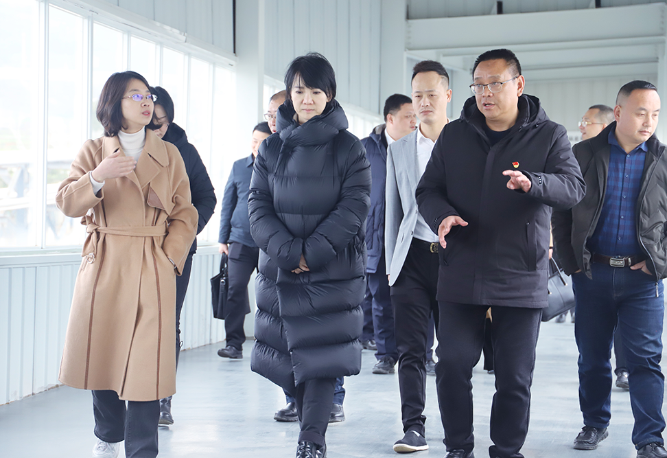 【農投動態】| 曹鳴鳳副市長到播州國際辣椒產業園調研